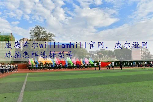 威廉希尔williamhill官网，威尔逊网球拍怎样选择型号