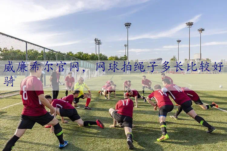 威廉希尔官网，网球拍绳子多长比较好骑