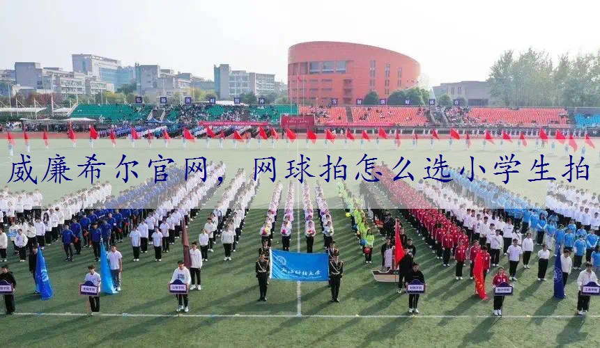 网球拍怎么选小学生拍