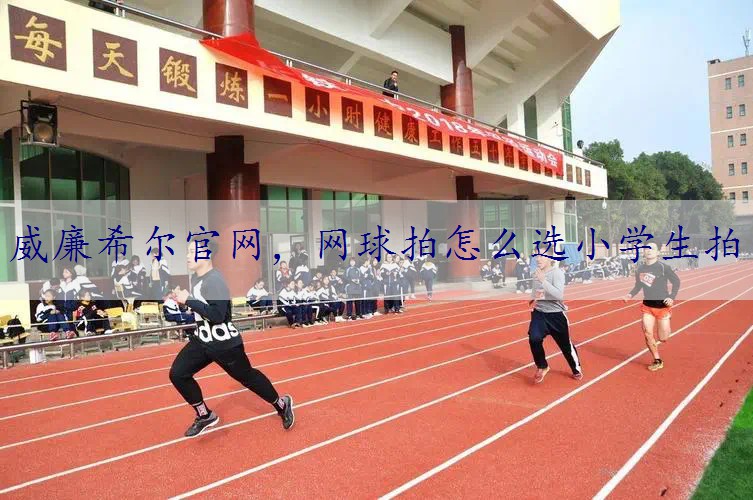 网球拍怎么选小学生拍