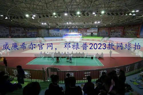 邓禄普2023款网球拍