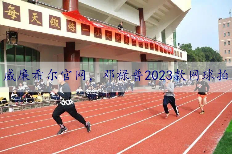 邓禄普2023款网球拍