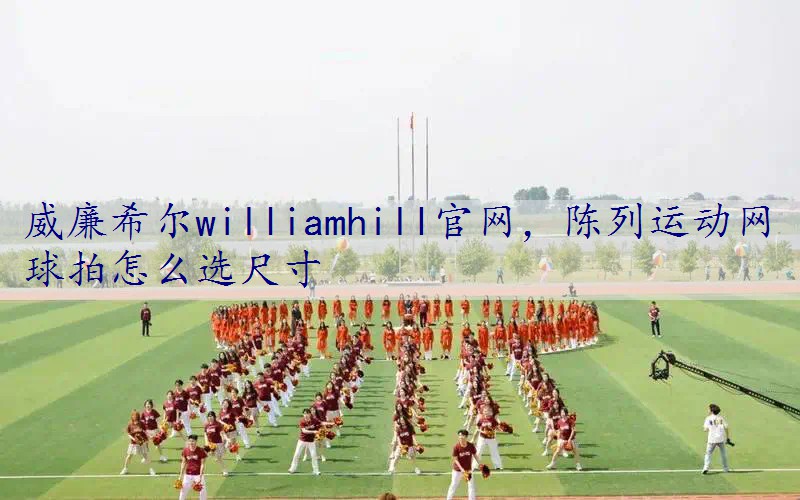陈列运动网球拍怎么选尺寸
