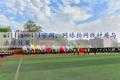 网球拍网线材质与击球效果