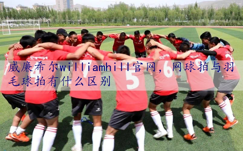 网球拍与羽毛球拍有什么区别