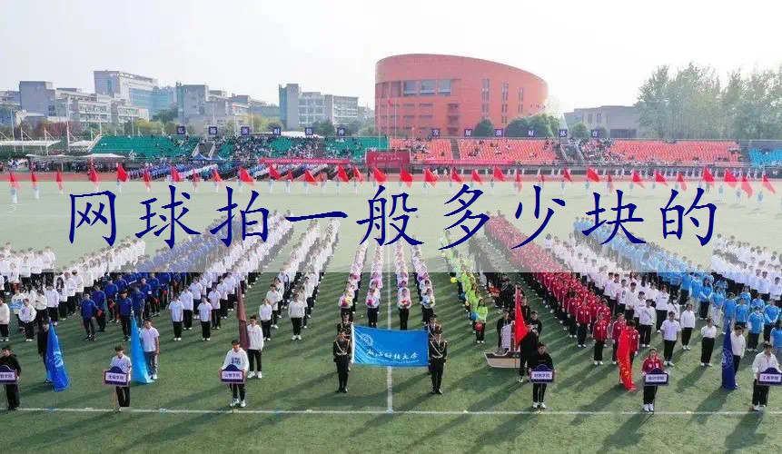 网球拍一般多少块的