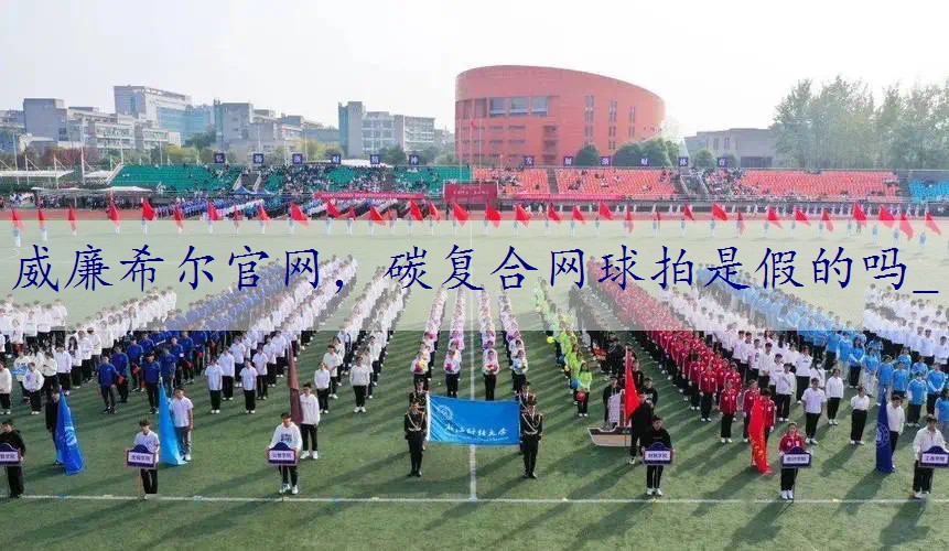 碳复合网球拍是假的吗_