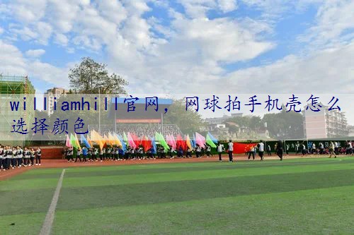 网球拍手机壳怎么选择颜色