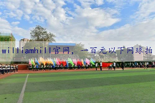 一百元以下网球拍