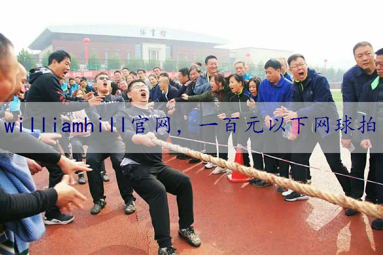 一百元以下网球拍