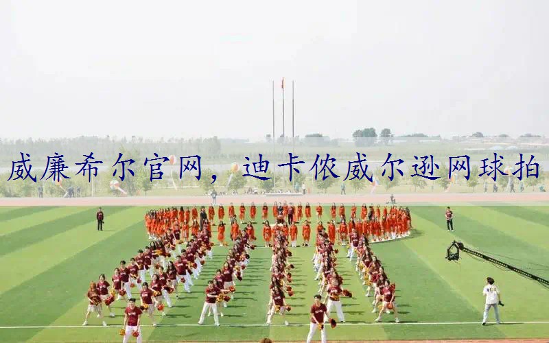 迪卡侬威尔逊网球拍