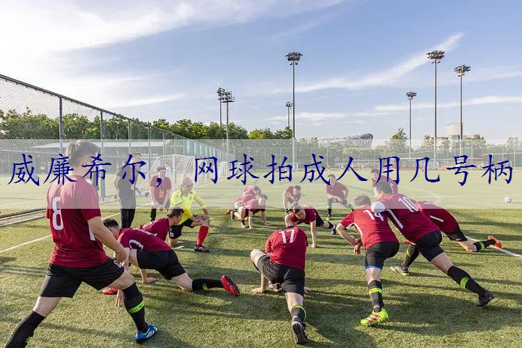 网球拍成人用几号柄