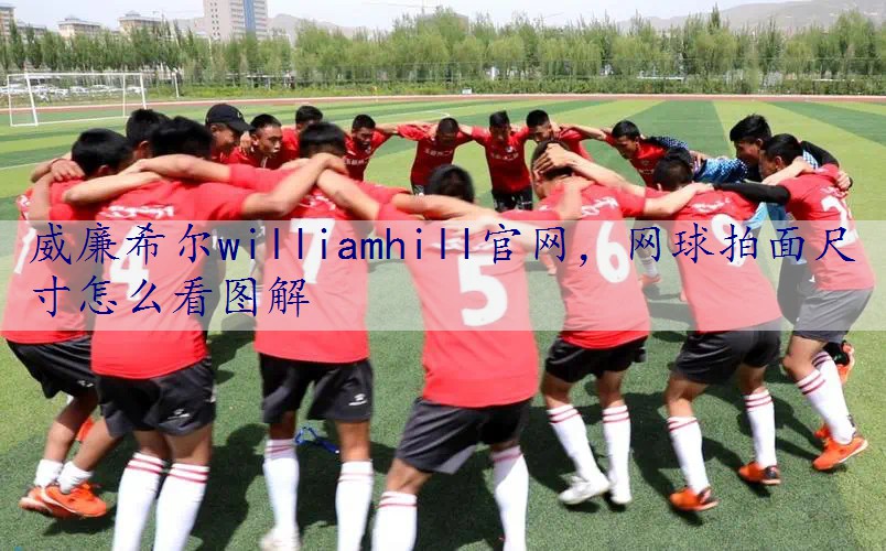 网球拍面尺寸怎么看图解