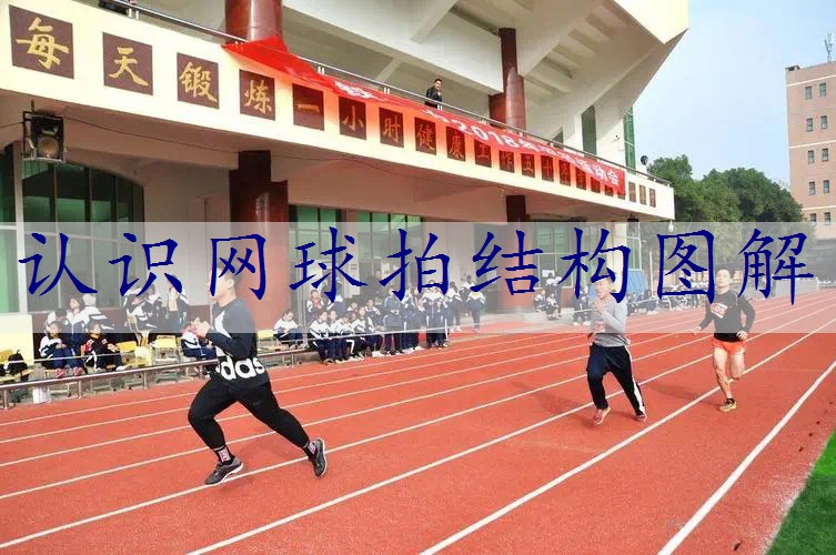 认识网球拍结构图解