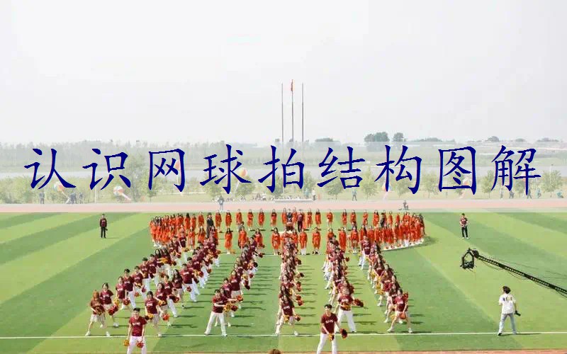 认识网球拍结构图解