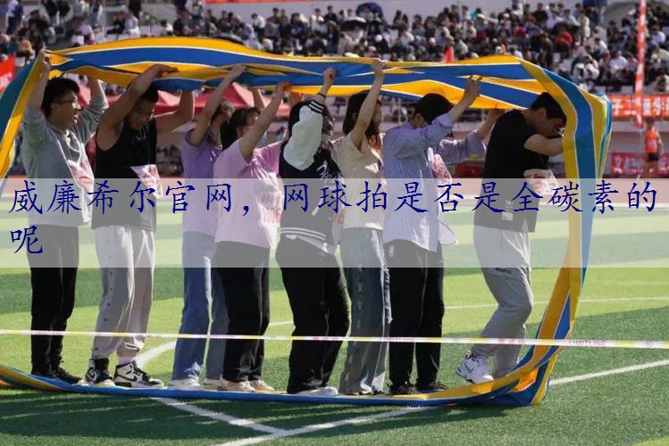 网球拍是否是全碳素的呢