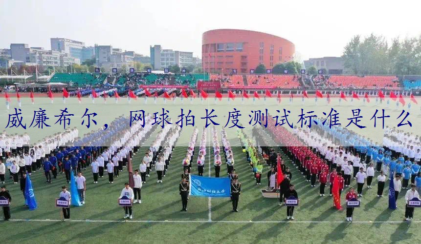 网球拍长度测试标准是什么