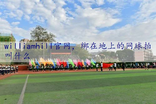 绑在地上的网球拍叫什么