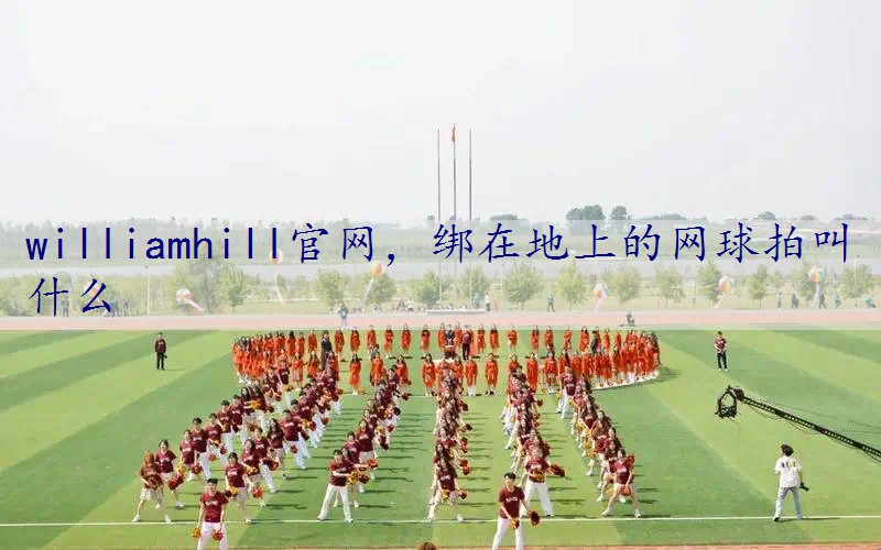 绑在地上的网球拍叫什么