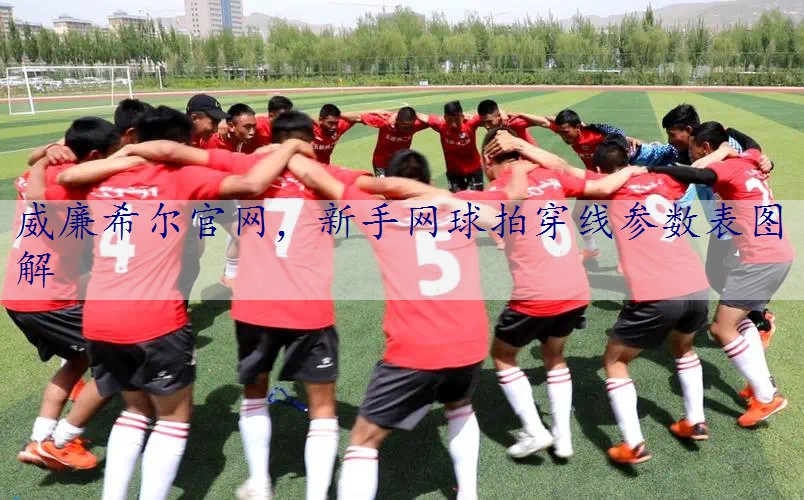 新手网球拍穿线参数表图解