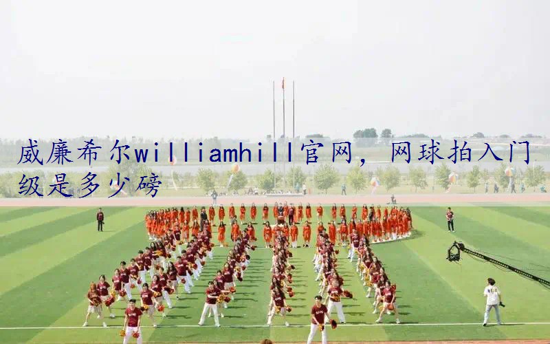 网球拍入门级是多少磅