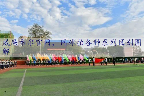 网球拍各种系列区别图解