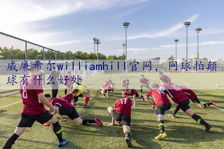 网球拍颠球有什么好处