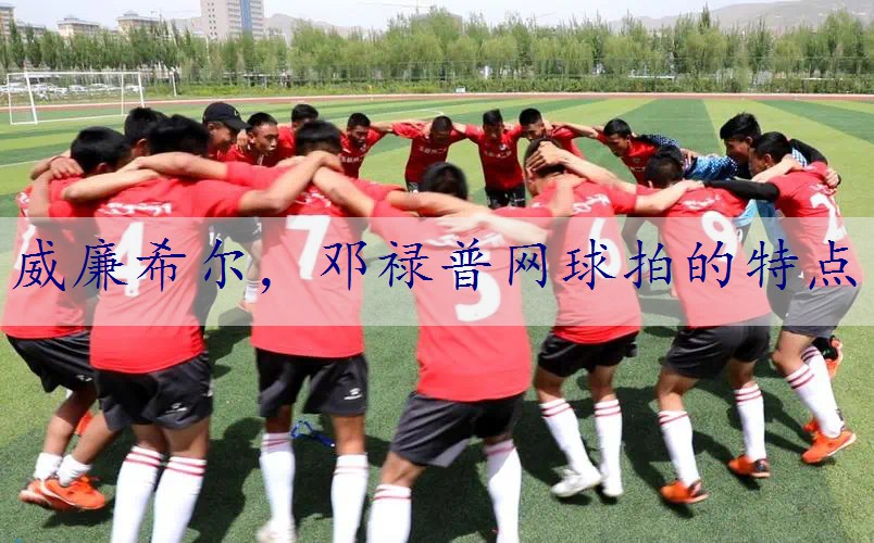 邓禄普网球拍的特点
