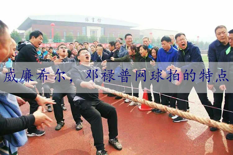 邓禄普网球拍的特点