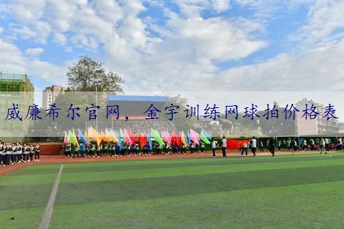 金宇训练网球拍价格表