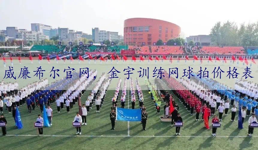 金宇训练网球拍价格表