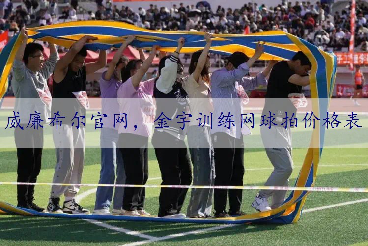 金宇训练网球拍价格表